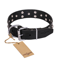 "Mystic Skulls" Decorated Leather Amstaff Collar with Skulls and Studs