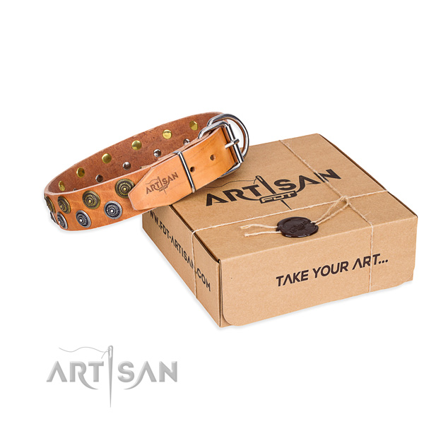 Comfy wearing dog collar of top notch genuine leather with adornments