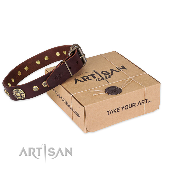 Rust resistant fittings on leather dog collar for walking