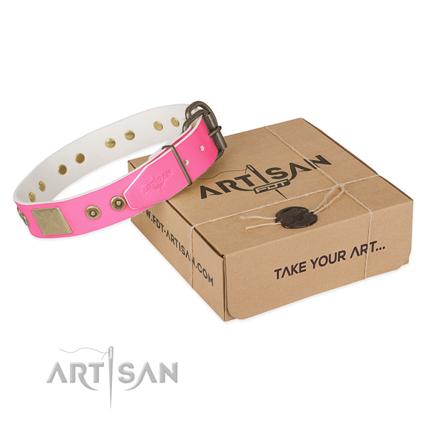 Reliable decorations on dog collar for easy wearing