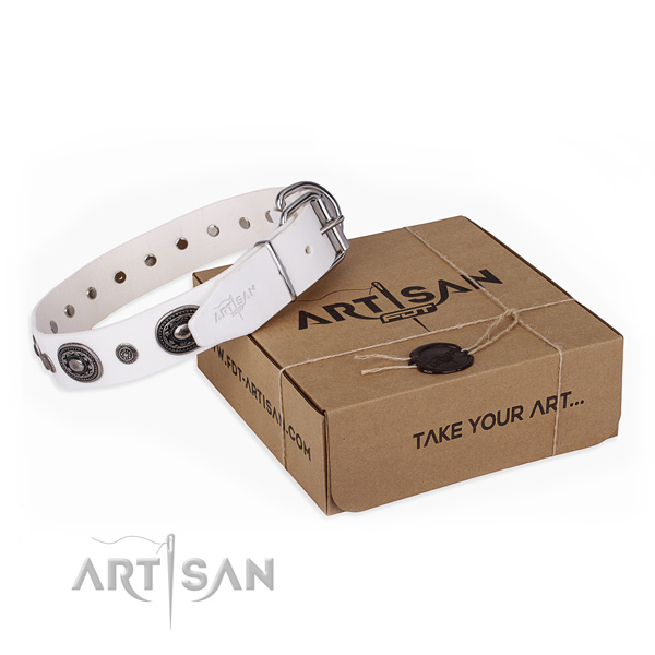 Soft leather dog collar created for everyday use