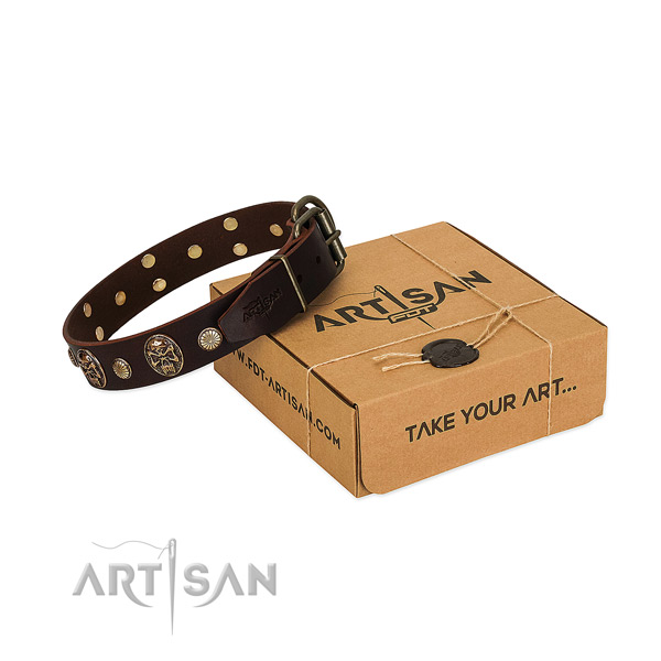 Reliable traditional buckle on dog collar for everyday walking