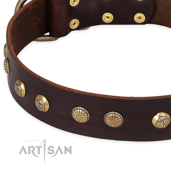 Full grain leather collar with corrosion resistant buckle for your handsome dog