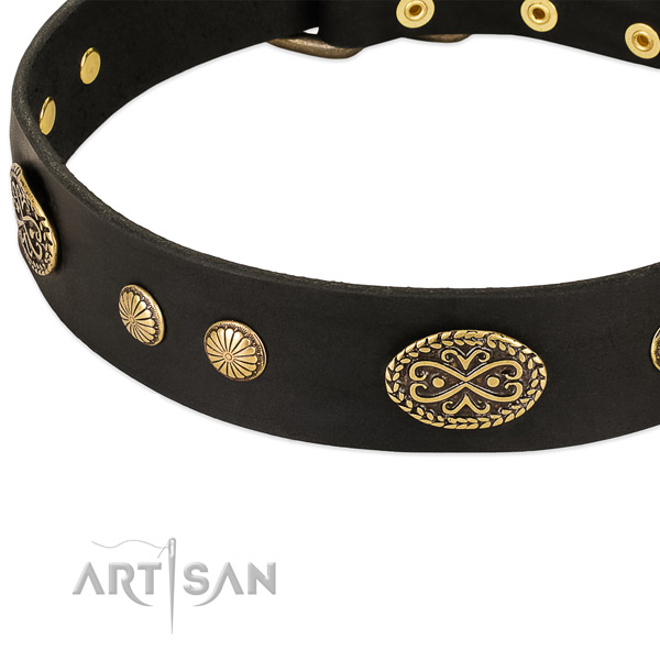 Strong embellishments on genuine leather dog collar for your four-legged friend