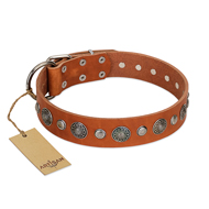 "Natural Beauty" FDT Artisan Tan Leather Amstaff Collar with Shining Silver-like Studs