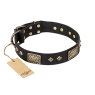 "Jewel Passion" FDT Artisan Fashionable Black Leather Amstaff Collar