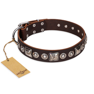 "Pierian spring" FDT Artisan Brown Leather Amstaff Collar with Silvery Decorations