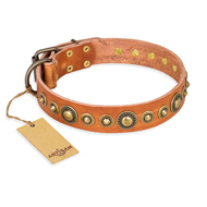 "Feast of Luxury" FDT Artisan Tan Leather Amstaff Collar with Old Bronze Look Circles