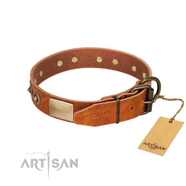 Corrosion proof hardware on walking dog collar
