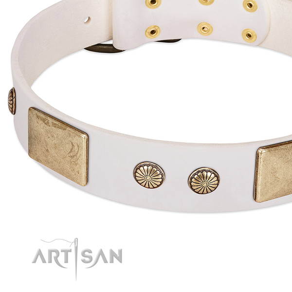 Rust resistant traditional buckle on natural leather dog collar for your dog