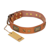 "Cosmic Traveller" FDT Artisan Adorned Leather Amstaff Collar with Old Bronze-Plated Stars and Plates "Cosmic Traveller" FDT Artisan Adorned Leather Amstaff Collar with Old Bronze-Plated Stars and Plates