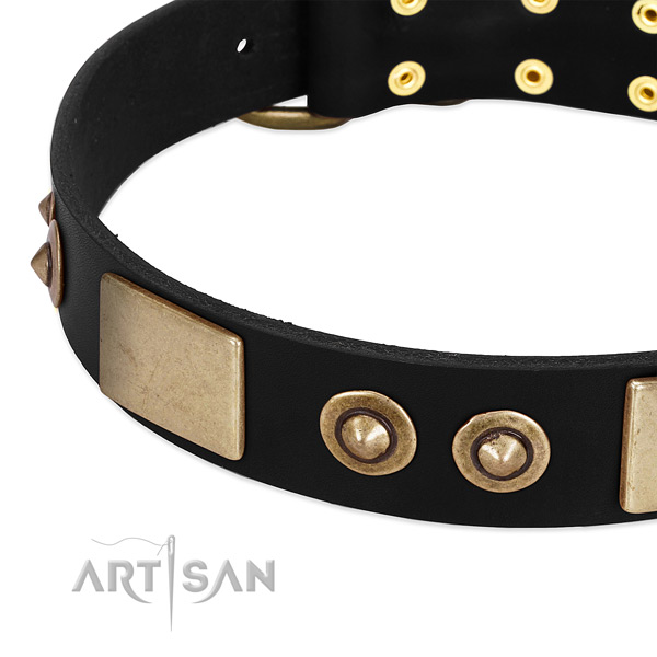 Corrosion resistant studs on genuine leather dog collar for your doggie