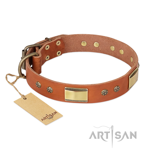 Embellished full grain natural leather collar for your dog