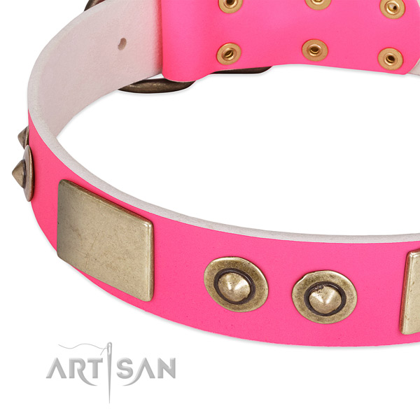 Durable embellishments on full grain leather dog collar for your canine