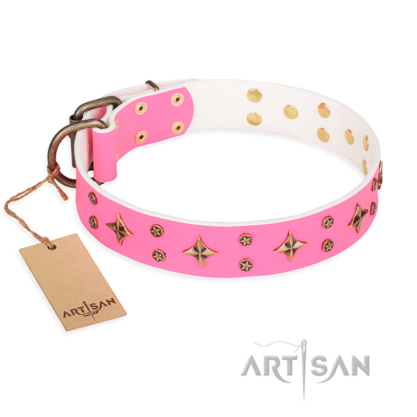 Daily walking dog collar of top quality full grain leather with embellishments