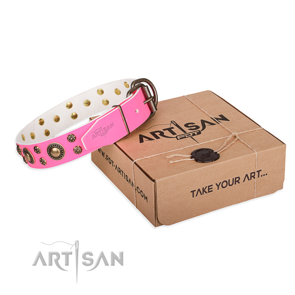 Comfortable wearing dog collar of best quality leather with decorations
