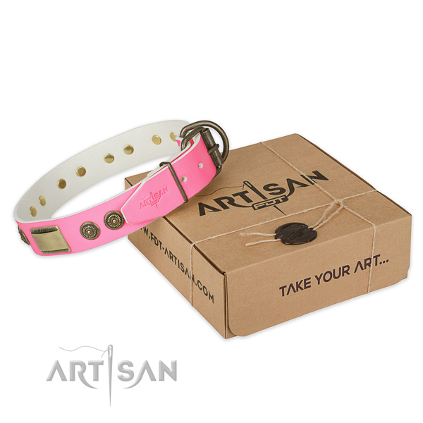 Reliable traditional buckle on dog collar for everyday walking