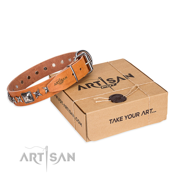 Daily use full grain leather dog collar with embellishments