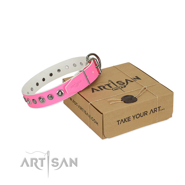 Quality leather dog collar with unusual embellishments