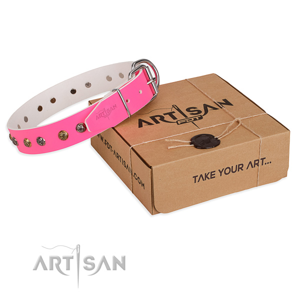 Daily walking dog collar with Remarkable reliable adornments