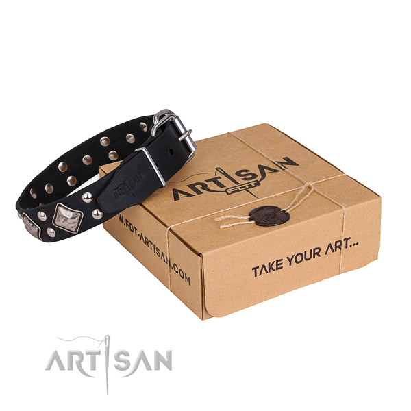 Daily walking dog collar with Remarkable reliable adornments