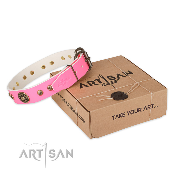 Strong D-ring on leather dog collar for daily use