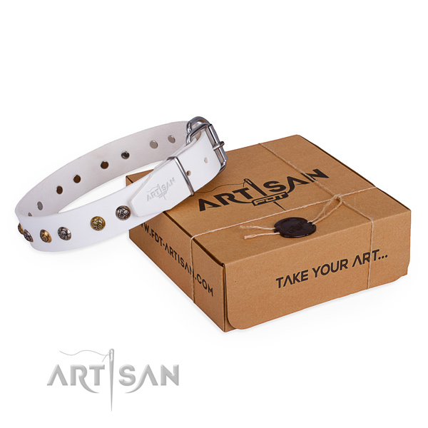 Everyday walking dog collar with Exquisite durable embellishments