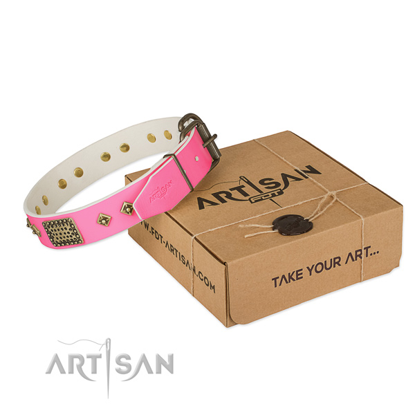 Reliable traditional buckle on dog collar for basic training