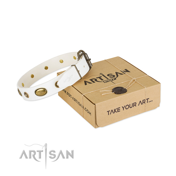 Exceptional genuine leather collar for your impressive doggie