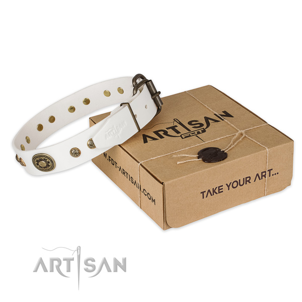 Reliable traditional buckle on natural genuine leather dog collar for comfy wearing