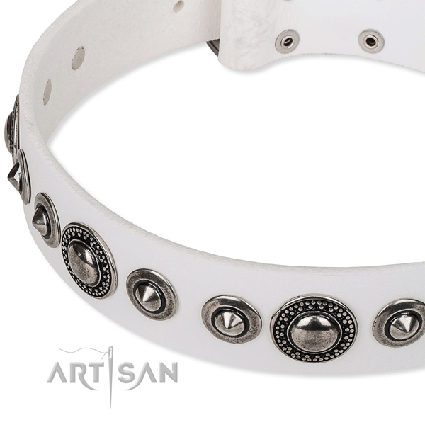 Easy wearing embellished dog collar of strong full grain natural leather