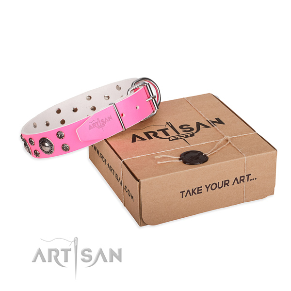 Fancy walking dog collar of fine quality full grain genuine leather with decorations