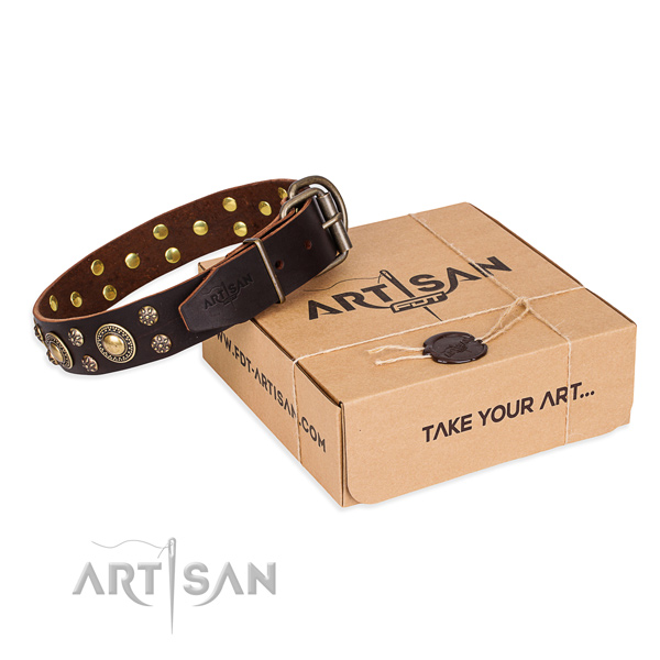 Fancy walking dog collar of strong full grain genuine leather with studs