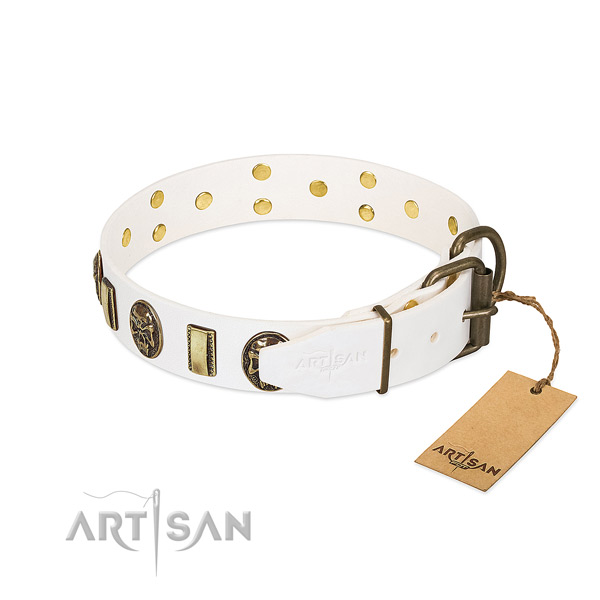 Reliable D-ring on full grain natural leather collar for walking your doggie