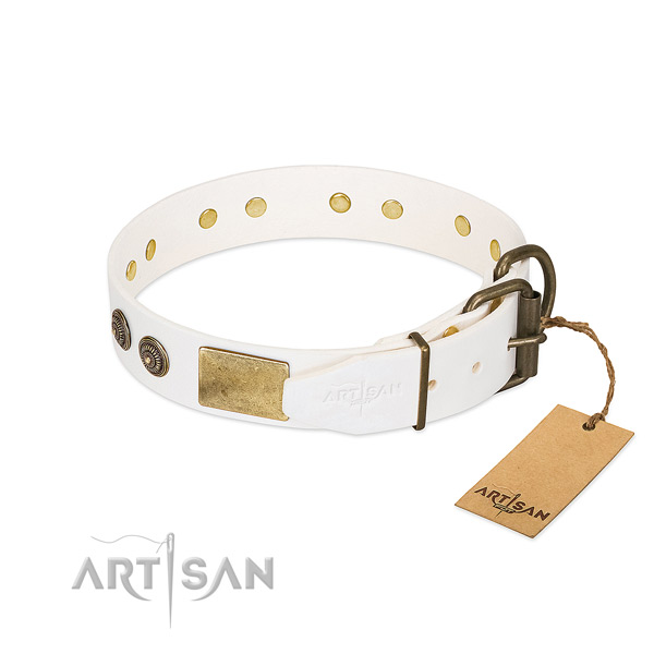 Durable fittings on genuine leather collar for everyday walking your doggie