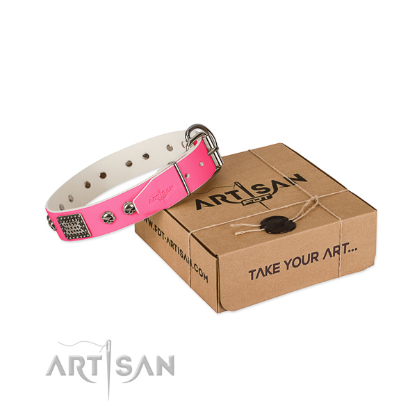 Corrosion proof traditional buckle on dog collar for stylish walking
