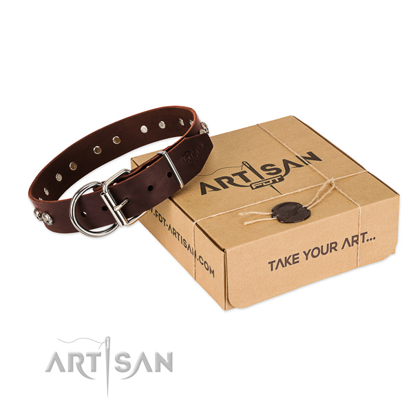 Durable traditional buckle on dog collar for daily use