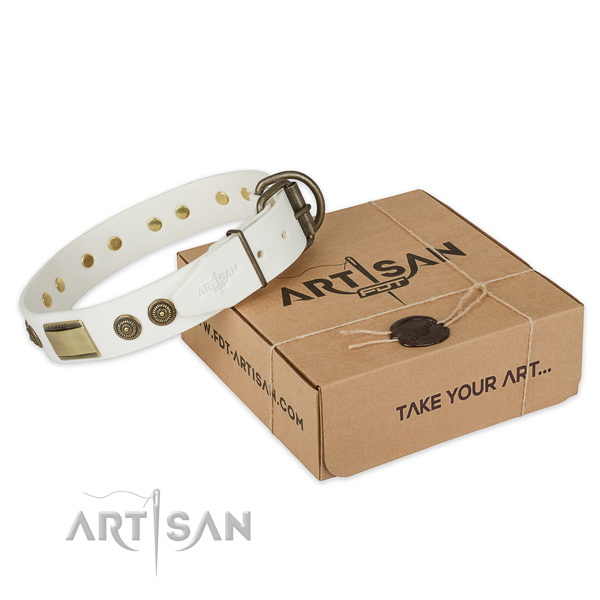 Corrosion proof buckle on full grain genuine leather dog collar for comfy wearing