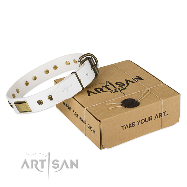 Remarkable full grain leather collar for your handsome pet