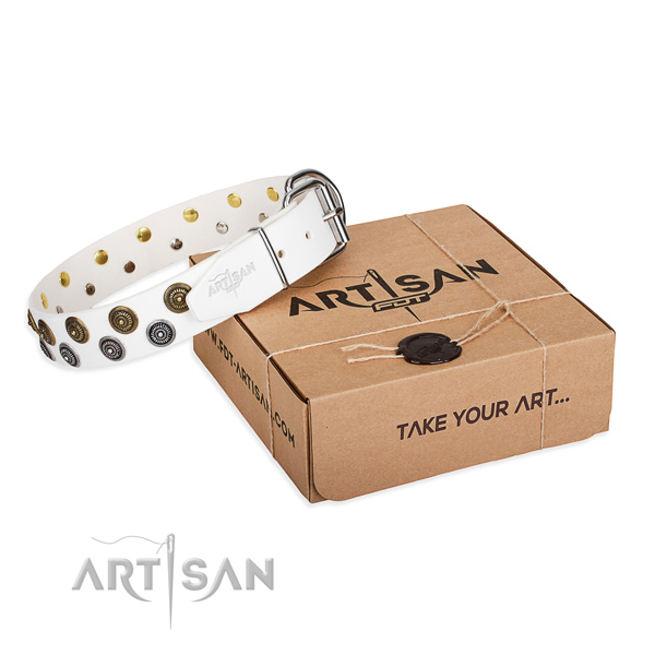 Walking dog collar of top notch genuine leather with studs