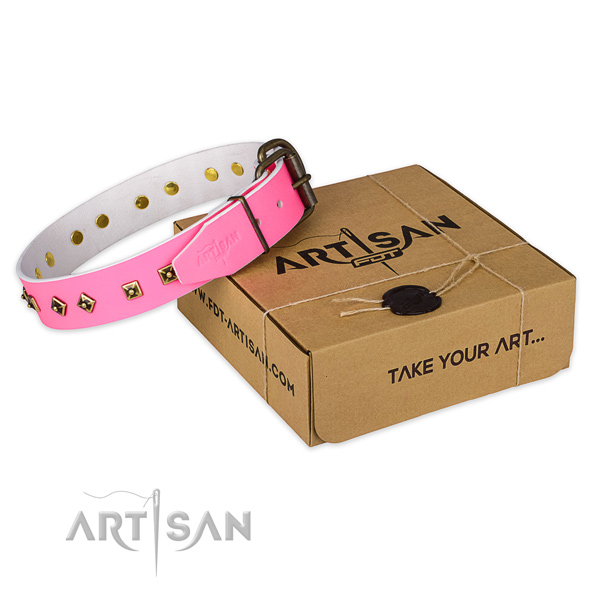 Durable buckle on full grain genuine leather dog collar for stylish walking