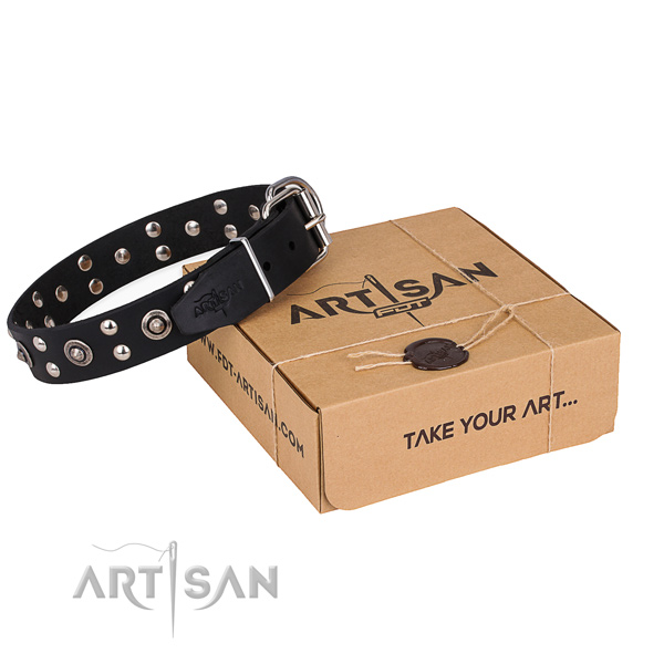 Handy use dog collar with Impressive strong adornments