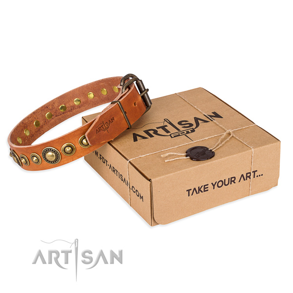 Gentle to touch leather dog collar handcrafted for fancy walking