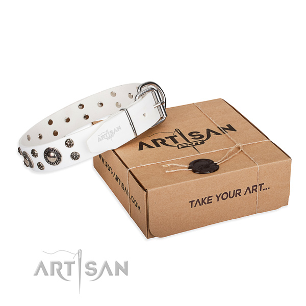 Comfy wearing dog collar of quality natural leather with embellishments