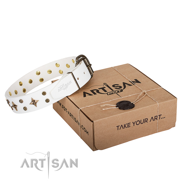 Everyday walking dog collar of top quality natural leather with studs