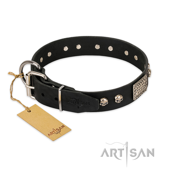 Strong hardware on basic training dog collar