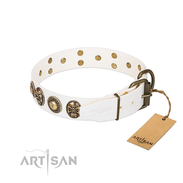 Corrosion proof adornments on daily walking dog collar