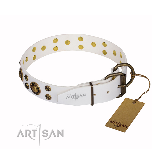Handy use embellished dog collar of finest quality genuine leather