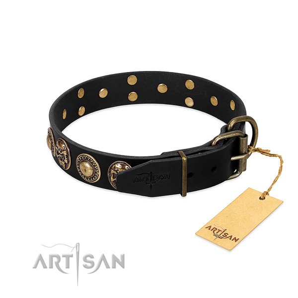 Durable embellishments on comfortable wearing dog collar