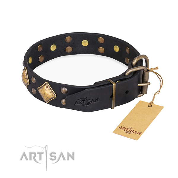 Leather dog collar with stylish design strong adornments